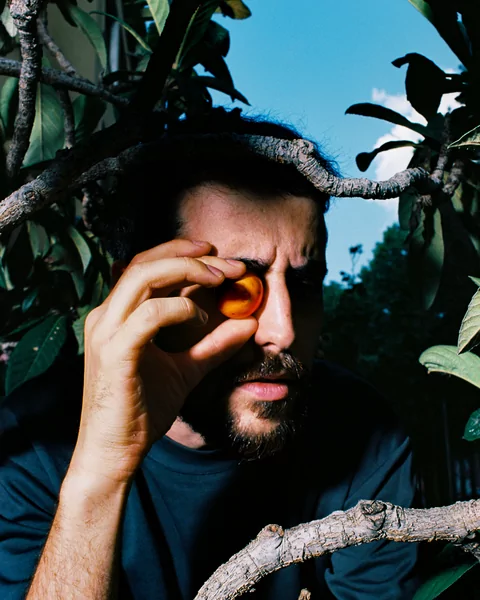 Photo of piezo standing amongst the leaves of a tree, holding a piece of orange fruit up to his eye